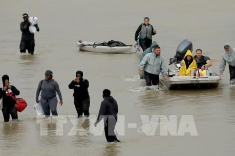 Số người thiệt mạng và thiệt hại do bão Harvey tăng mạnh