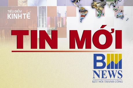 Đầu tư đường Xóm Mới - Cam Thịnh, tỉnh Khánh Hòa 