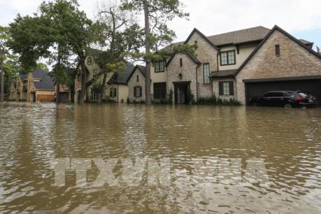 Nhà Trắng hối thúc công tác hỗ trợ tái thiết sau bão Harvey