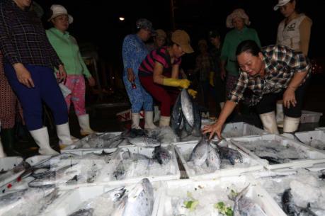 Sản lượng khai thác thủy sản tăng cao