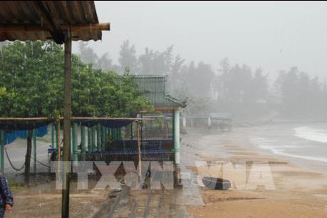 Ứng phó với bão số 10: Quảng Bình sẵn sàng phương án "bốn tại chỗ"