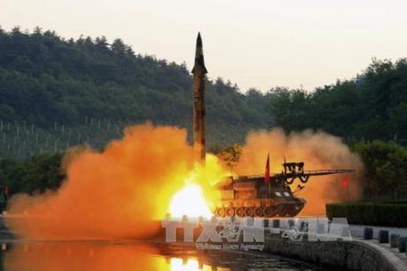 Phe bảo thủ hối thúc Tổng thống Hàn Quốc điều chỉnh chính sách với Triều Tiên