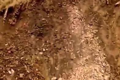 Yên Bái: Sạt lở đất khiến 9 người thương vong