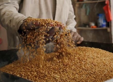 Thị trường nông sản tuần qua: Giá các loại ngũ cốc đều tăng