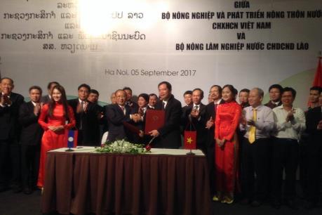 Hợp tác nông nghiệp Việt Nam – Lào: Chương trình phát triển đại gia súc là mũi đột phá