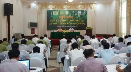 Cần xem lâm nghiệp như ngành kinh tế