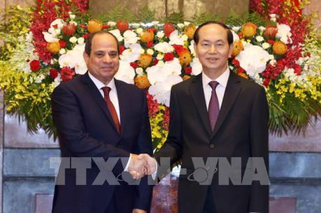 Chủ tịch nước Trần Đại Quang hội đàm với Tổng thống Ai Cập Abdel Fattah Al Sisi