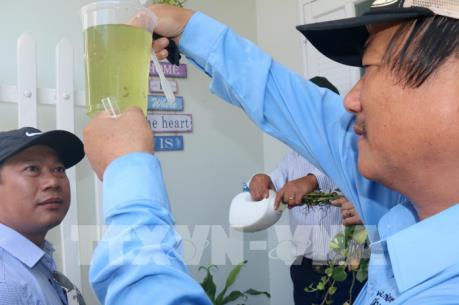 Phòng chống sốt xuất huyết tại Bình Thuận gặp nhiều khó khăn