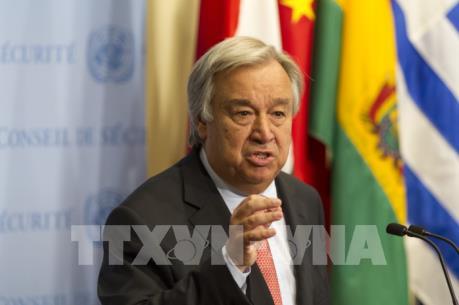 TTK LHQ cảnh báo tình hình trên Bán đảo Triều Tiên tương tự như Chiến tranh thế giới thứ 1