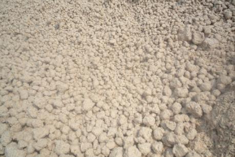 Yêu cầu Nhà máy mỳ Phương Hoa xử lý vấn đề ô nhiễm theo phản ánh của TTXVN