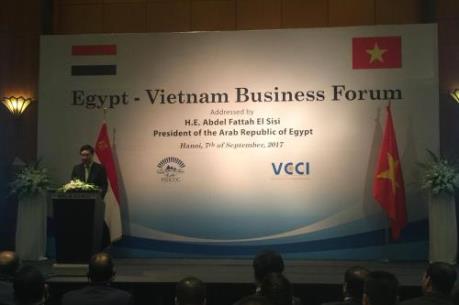 Cơ hội nâng cao hợp tác Việt Nam – Ai Cập