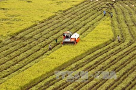 Nghệ An phát triển hiệu quả các dịch vụ nông nghiệp