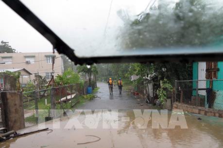 Các nước khẩn trương đối phó bão siêu bão Irma và bão Katia