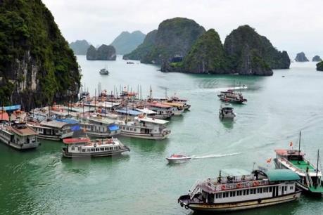Đình chỉ hoạt động của tàu du lịch Hùng Long 28 do có sai phạm