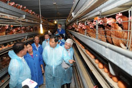 Bình Phước mở đường xuất khẩu thịt gà sang Nhật Bản