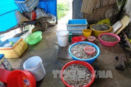 Xử phạt nhiều cơ sở vi phạm an toàn vệ sinh thực phẩm