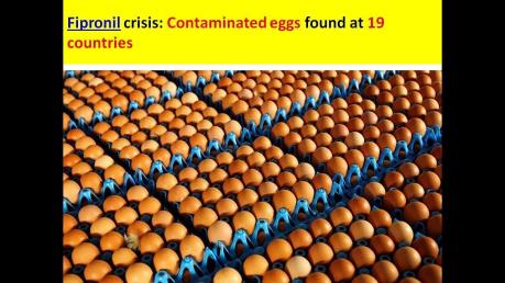  Thổ Nhĩ Kỳ bác bỏ cáo buộc xuất khẩu trứng "bẩn"