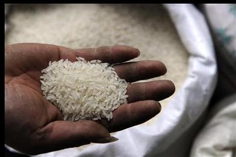 Ngành gạo – vấn đề gai góc trong đàm phán thương mại quốc tế