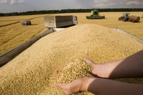 Trung Quốc cải cách cơ cấu nguồn cung trong lĩnh vực nông nghiệp