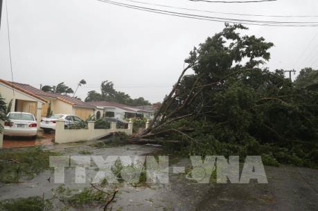 Kinh tế Mỹ "gặp hạn" vì Harvey và Irma