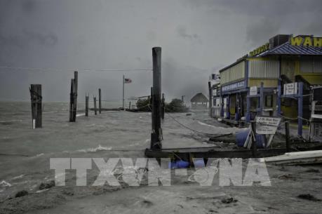 Siêu bão Irma mang gió mạnh kèm mưa lớn quét qua bang Florida, Mỹ