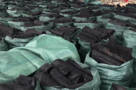 Đắk Lắk xóa bỏ, di dời hơn 100 cơ sở sản xuất than củi