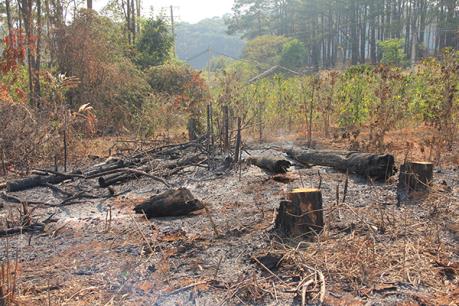 Đắk Nông kết luận thanh tra việc quản lý, sử dụng đất của HTX Hợp Tiến