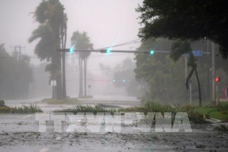 Harvey và Irma, những cơn bão gây thiệt hại nặng nề nhất cho nước Mỹ