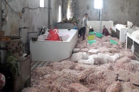 Tiêu hủy lượng lớn chân gà không rõ nguồn gốc