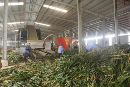 Chuỗi cung ứng thực phẩm an toàn đến tay người tiêu dùng