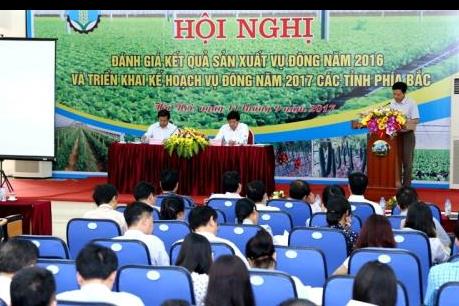 Vụ Đông 2017 đặt mục tiêu sản xuất 410.000 ha