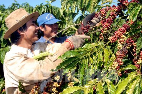 Xuất khẩu của Việt Nam sang Algeria tăng cao