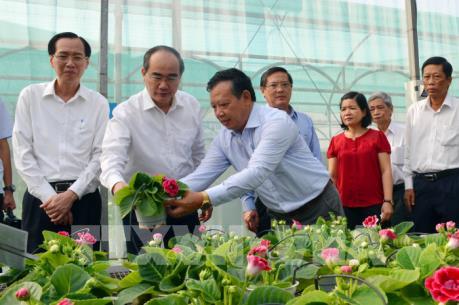 Xây dựng Tp. Hồ Chí Minh thành trung tâm giống vật nuôi trong khu vực