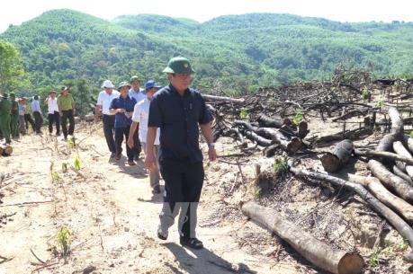 Kiểm tra hiện trường vụ 43,7 ha rừng tự nhiên bị "xóa sổ" tại Bình Định