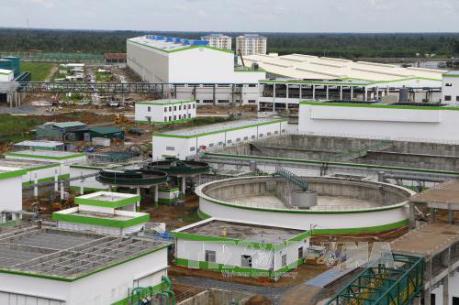 Mùi hôi từ Nhà máy Giấy Lee&Man phát ra từ đâu?