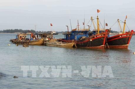 Bão số 10: Nghệ An cấm tất cả tàu thuyền ra khơi từ 7 giờ ngày 14/9