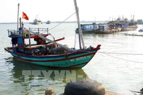 Bão số 10 diễn biến phức tạp, Thái Bình nghiêm cấm tàu thuyền ra khơi từ 10 giờ ngày 14/9