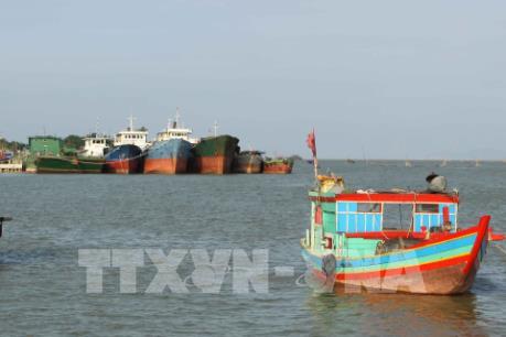 Hải Phòng sẵn sàng các phương án chống bão số 10