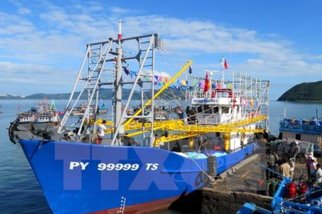 Bão số 10: Phú Yên hướng dẫn các tàu thuyền vào nơi tránh trú an toàn