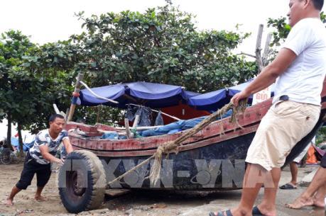 Thanh Hóa lên phương án sơ tán dân phòng bão số 10