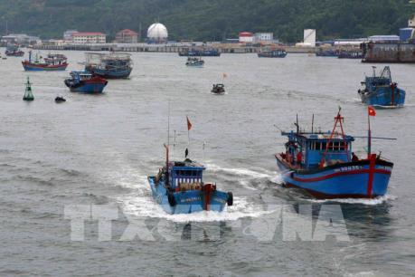 Cứu 11 thuyền viên gặp nạn trên biển khi đi tránh bão số 10