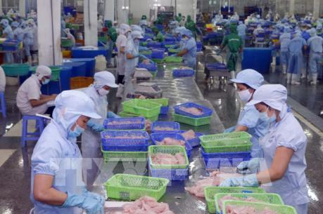 Kết luận sơ bộ đợt rà soát hành chính thuế chống bán phá giá đối với cá tra Việt Nam