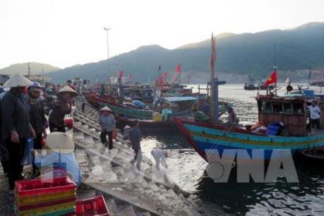 Cứu kịp thời nhiều ngư dân và tàu cá gặp nạn khi đang di chuyển để tránh trú bão số 10