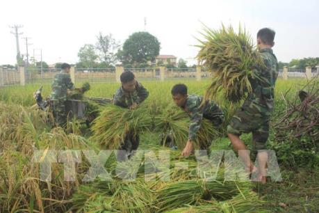 Dự báo thời tiết ngày 15/9, bão số 10 đổ bộ vào Nghệ An - Quảng Trị, gió giật cấp 15