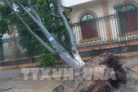 Bão số 10: Lốc xoáy cục bộ gây thiệt hại nhiều nhà cửa, cây cối tại Thừa Thiên - Huế