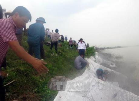Bão số 10: Đảm bảo an toàn đê điều trên hệ thống sông Hồng, sông Thái Bình