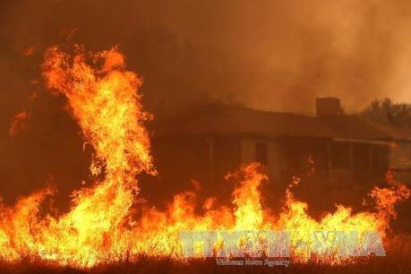 Chi phí chữa cháy rừng ở Mỹ phá vỡ mọi kỷ lục trước đây