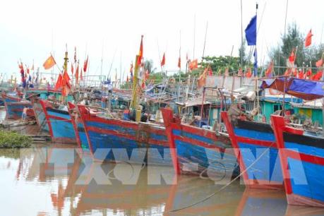 Bão số 10: Cảnh báo nguy cơ sạt lở các tuyến đê biển Nam Định
