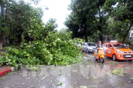 Tập đoàn Điện lực Việt Nam khắc phục hậu quả bão số 10