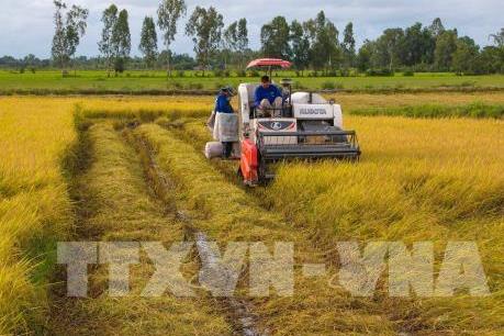 Hoàn thiện chính sách hợp tác và tiêu thụ sản phẩm nông nghiệp